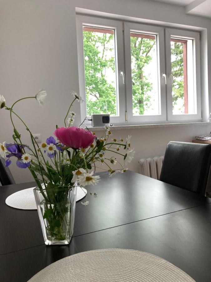 Apartament Karolewo Karolewo  エクステリア 写真